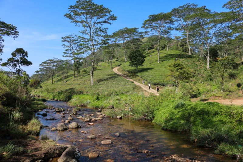 a shallow river next to a green hill topped with trees beneath a blue sky