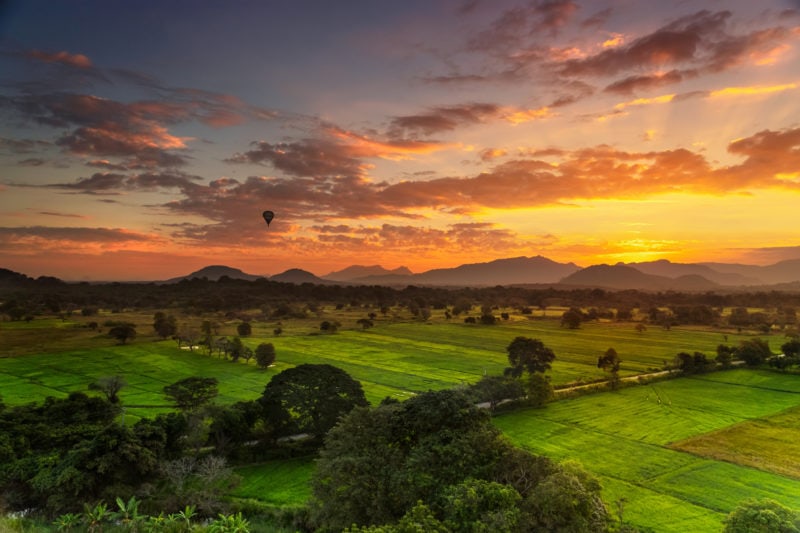 sun rising behind distant mountains with a plain of green fields lined by trees in front. There is a hot air balloon in the pink and orange sky. 