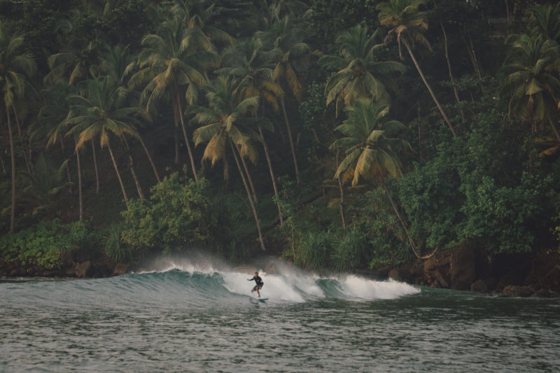 a man in a black top and shorts on a surf board riding a low wave in front of a cliff covered in palm trees in mirissa sri lanka