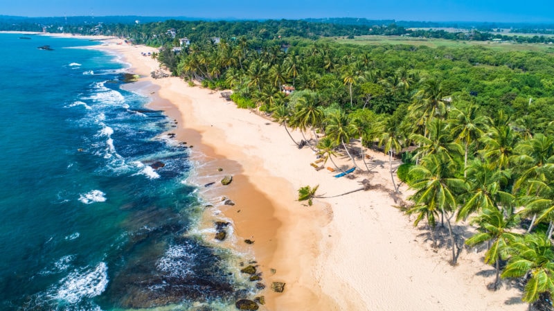 aerial shot of a tropical sandy beach lined with palm trees - 2 weeks sri lanka itinerary