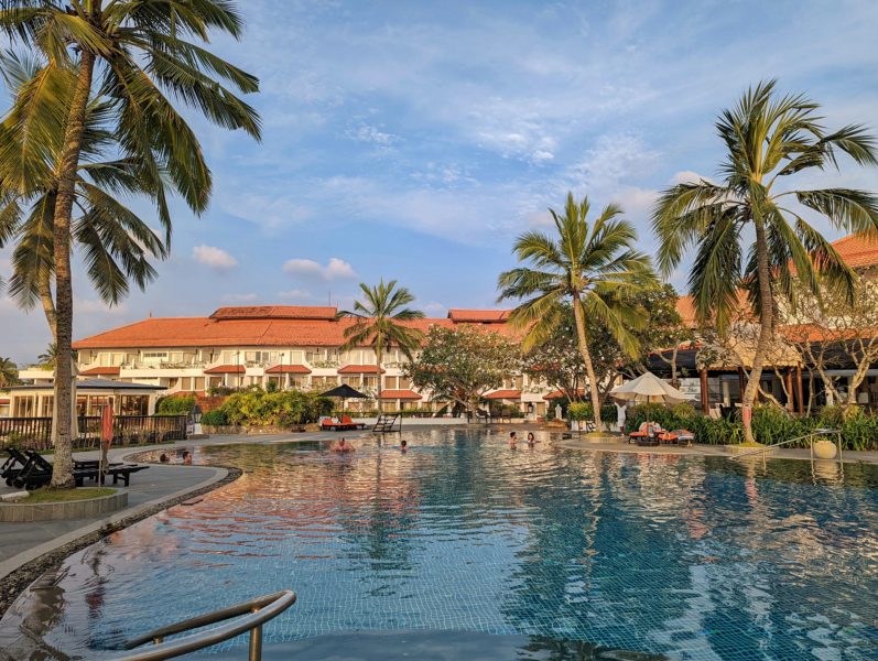 Swimming pool surrounded by palm trees with  hotel in the background