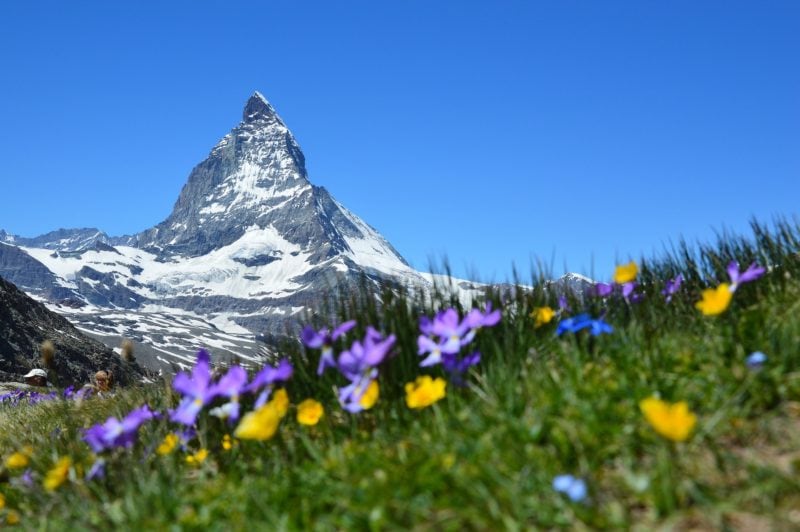 Honeymoon in the Swiss Alpines? Make It Happen