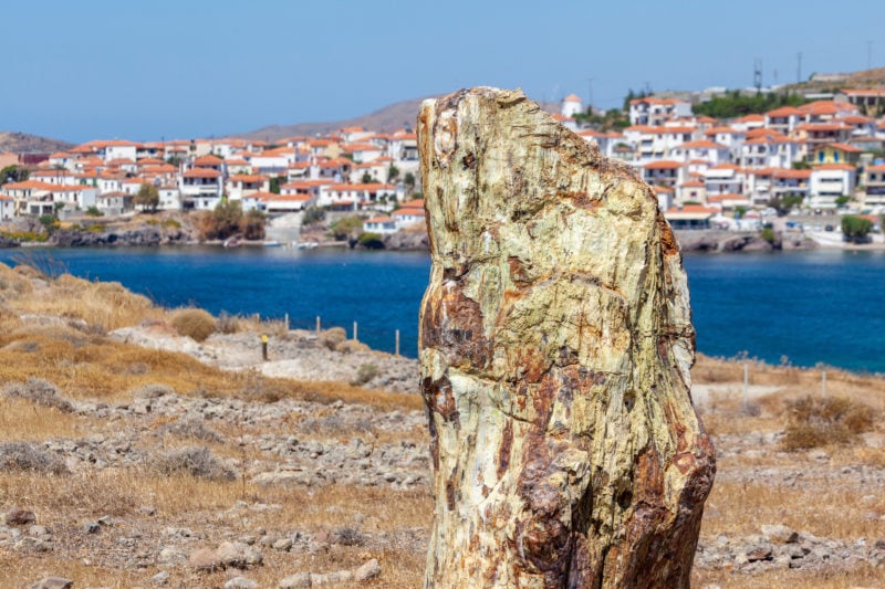 close up of a yellow-brown petrified tree stump in front of the blue sea with a small whitewashed village out of focus across the bay