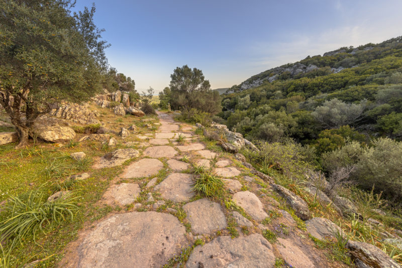 old stone path with grass growing between the flagstones running along a ridge in the grassy mountains in Lesvos with trees and shrubs on either side and clear blue sky above