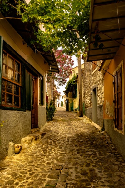 Cobbled road in a narrow alley in the old town of Molyvos on the island of Lesbos with warm sunlight shining on old stone buildings and leafy trees overhead
