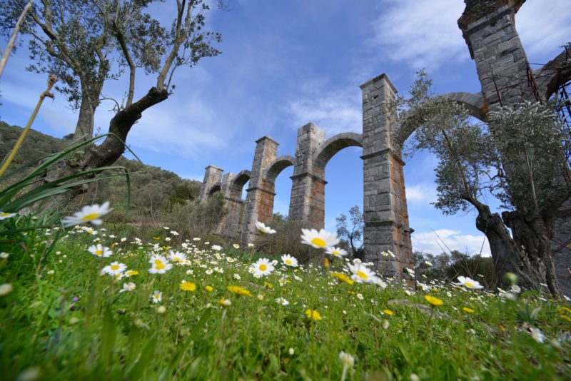 ancient grey stone aqueduct in a field with daisies and wildflowers in the foreground and blue sky overhead