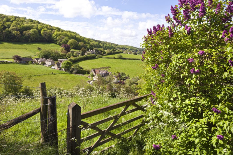 a wooden gate next to a hedge with a view of a green valley and woodlands behind