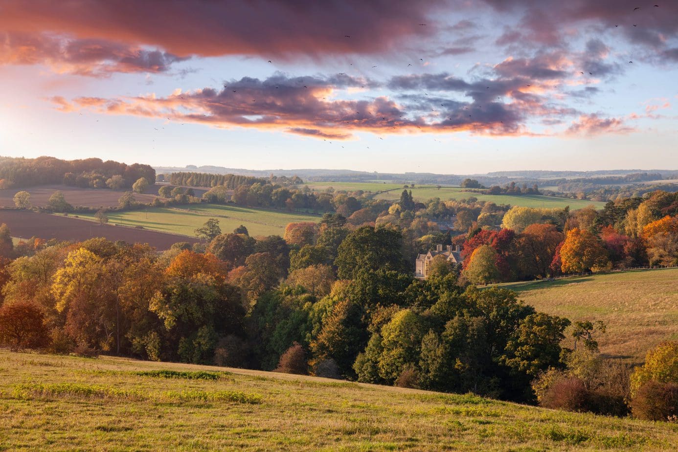 View of woodland and fields with a sunset sky above - driving in the cotswolds itinerary