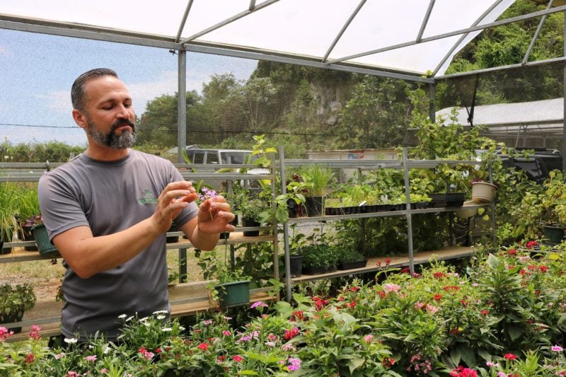 a man with dark hair and a goatee wearing a grey t-shirt standing in a greenhouse in front of a row of plants holding up a plant on a farm tour in puerto rico