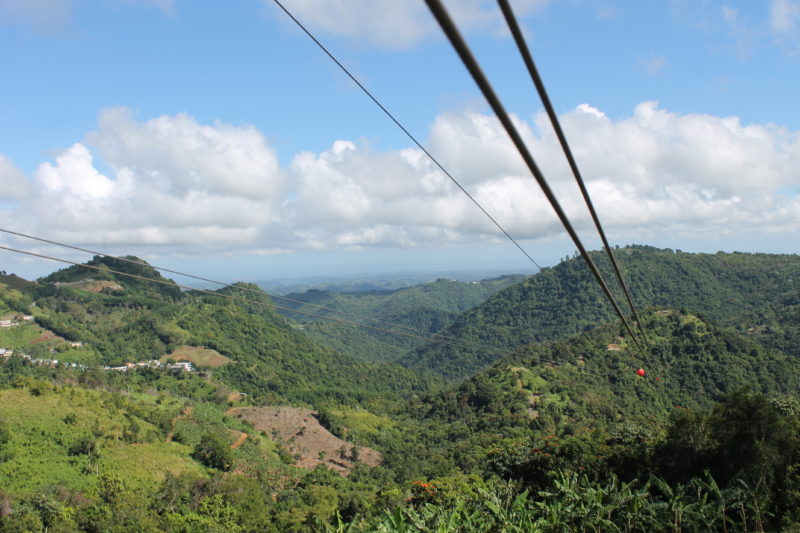 thick zipline cables heading downwards across a large valley covered in lush tropical greenery with mountains in the distance