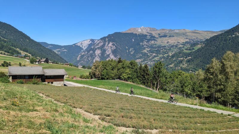 three people on bikes on a sloping dirt path behind a field with a small wooden hut and some trees just behind them and green forested mountains behind that