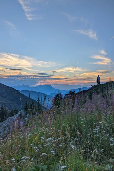 silhouette of a small figure standing on top of a hill looking out at shadowy mountains and a pale orange sunset with lots of wildflowers in the foreground