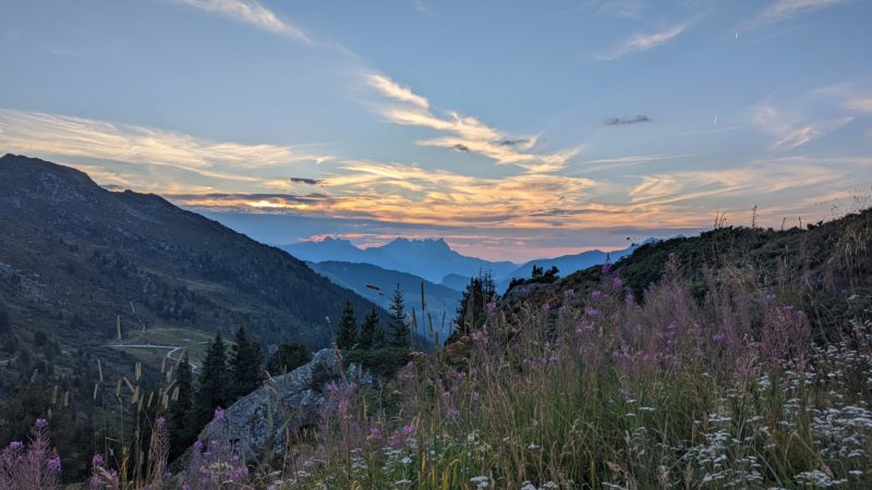 purple wildflowers on a hillside with silhouetted mountains behind and a pale orange sunset overhead