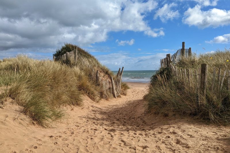 a gap between two sand dunes topped with long green beach grass with the blue sea visible through the gap on a sunny day with blue sky above at Dawlish Warren Nature Reserve in South Devon