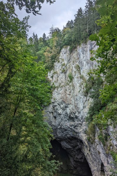 Light grey limestone cliff topped with green pine trees against a grey sky. at the bottom of a cliff is a large cave opening.