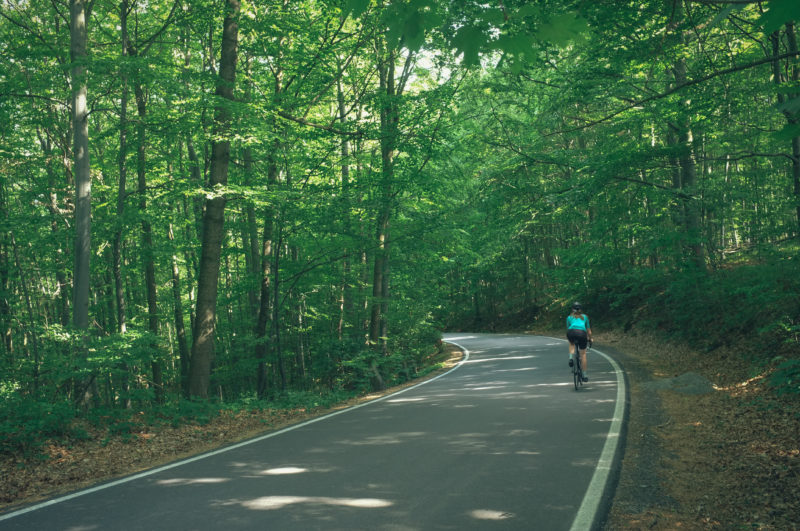 person on a bike wearign a turquiose top clycling on a road between trees