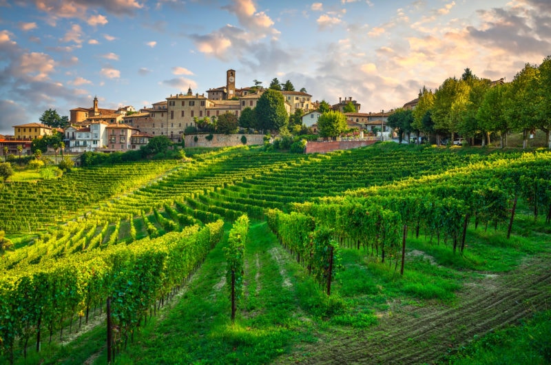 green fields of vineyards with a small italian town behind at sunset with a blue sky