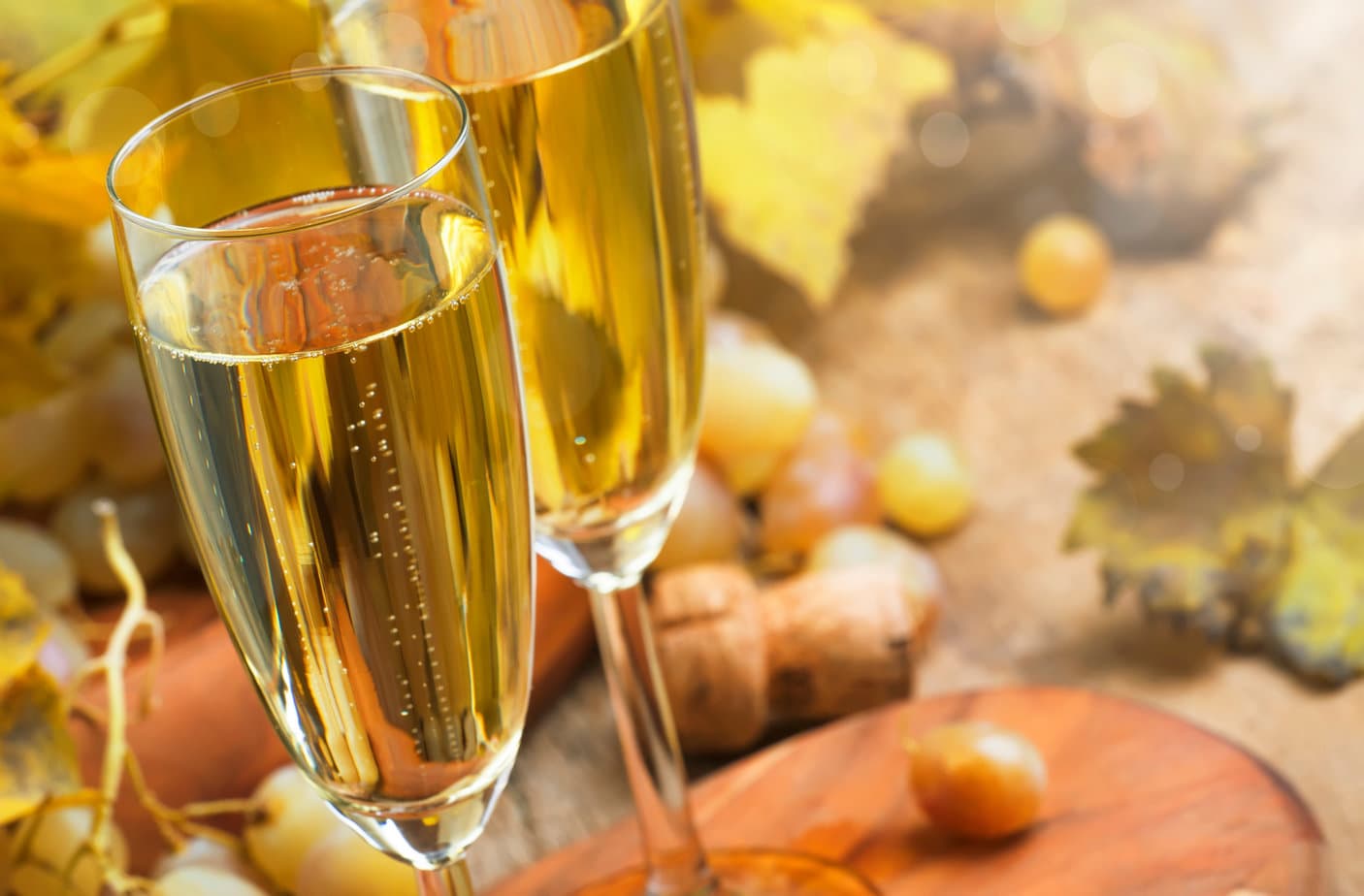 two champagne glasses containing Franciacorta wine on a wooden table surrounded by grapes and vine leaves. Italian sparkling wine regions. 