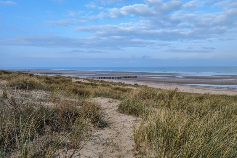 long grass on top of a white sand dune with a large flat sandy beach behind and the blue sea behind that on a cvery cold morning in Calais with an almost empty blue sky above