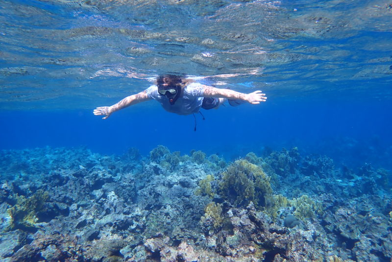 emily wearing a snorkel mask and pale blue t shirt swimming towards the camera underwater with coral beneath her
