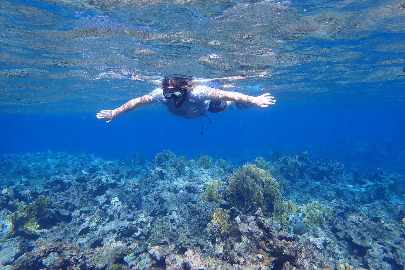 15 Unique And Fun Things To Do In Aruba 15 Unique And Fun Things To Do In Aruba