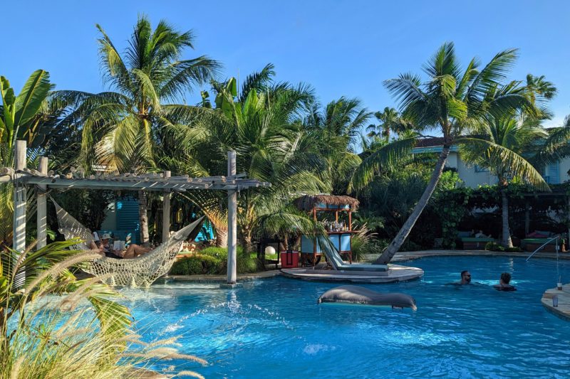 outdoor swimming pool with bright blue water surrounded by palm trees and tropcal plants with a hammock in the background on a sunny day with bright blue sky - boardwalk hotel aruba