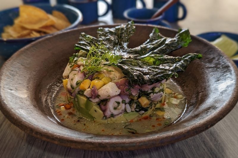 a brown stone bowl with a stack of ceviche made from fish and octopus and topped with a large crispy green chaya leaf - eating at La Cevicheria Tabasco is one of the best things to do in Villahermosa