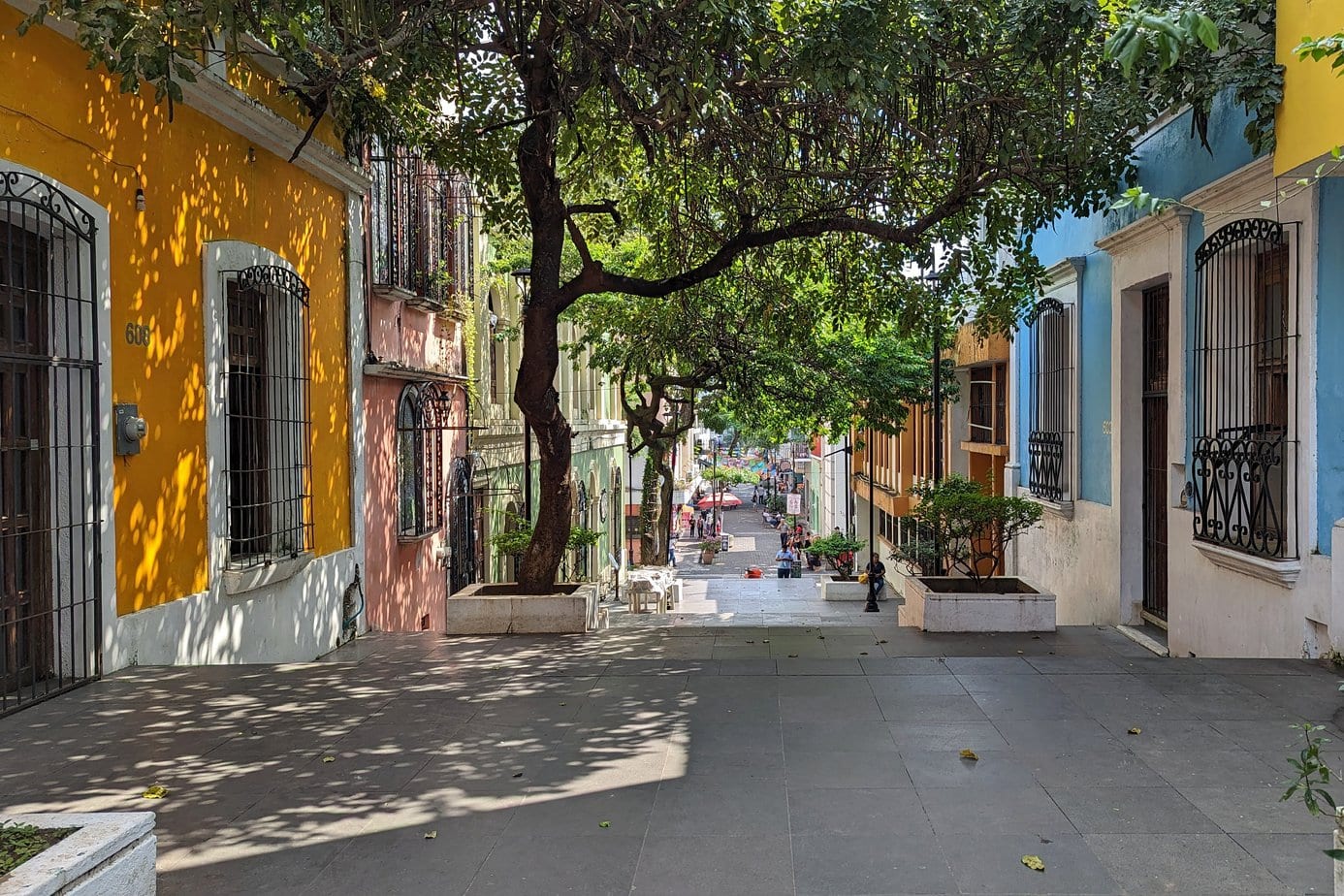 an empty pedestrian street with a large leafy tree in between rows of brightly coloured one storey buildings. the house nearest the camera on the left is bright yellow. things to do in villahermosa mexico. 