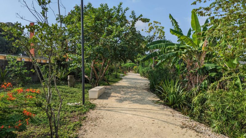 a white gravel path in a park with tropical green trees and plants on either side on a very sunny day with clear blue sky overhead