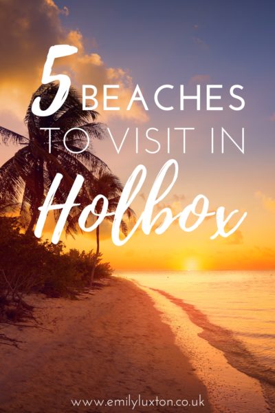Pinterest image with a beach and palm trees at sunset and the text: 5 beaches to visit in Holbox