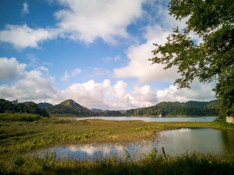 grassy wetlands with a large flat lake with mountains in the distance behind and the blue sky and fluffy clouds reflected in the lake 