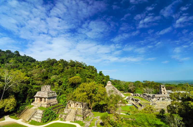 A wide view of Palenque Mayan ruins featuring the main palace, which is a large grey stone pyramid building and several smaller stone temples surrounded by lush green jungle against a beautiful blue sky. things to do in palenque. 