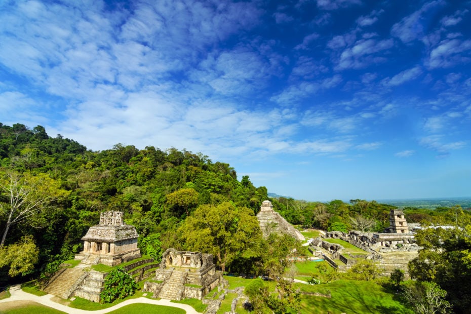 A wide view of Palenque Mayan ruins featuring the main palace, which is a large grey stone pyramid building and several smaller stone temples surrounded by lush green jungle against a beautiful blue sky. things to do in palenque.