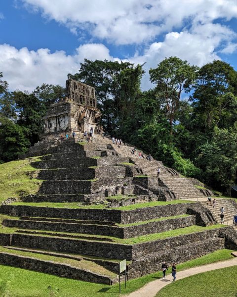 large grey stone pyramid with grass on the steps and lots of tall trees behind on a very sunny day with blue sky overhead. there are people walking up the stone steps of the pyramid and two people walking along the gravel path in front of it.