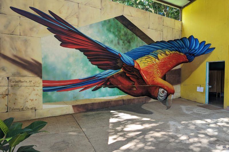 3D style street art mural of a large red blue and yellow macaw flying. the mural is painted on a wall and floor so it has a 3D effect. 