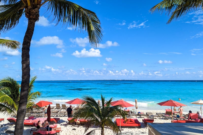 a row of sunbeds with bright red umbrellas on a white sandy beach with vivid cyan sea behind and a couple of palm trees in the forground. 