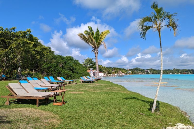 grassy lawn with two skinny palm trees and a row of grey sun loungers with bright blue towels on facing a lake with vivie cyan water on a very sunny day with blue sky overhead