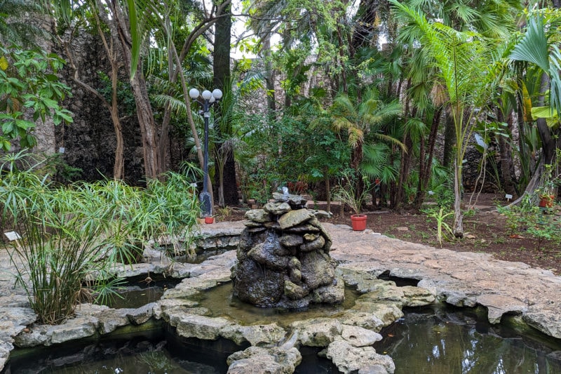 a small water feature made from grey rock in a botanical garden surroudned by dense tropical green foliage