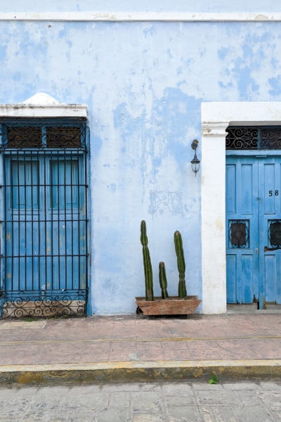 close up of a pale blue building with darker blue door and shuttered window both in white frames with a small wooden planter outside with three cacti growing in it.