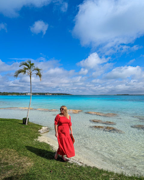 emily wearing a long red dress with her blonde hair loose standing on the grassy shore at the very edge fo a lake with clear shallow water turning to a viviv cyan in the distance. there is a single palm tree behind her on the shore and it is a very sunny day with blue sky and fluffy white clouds above.
