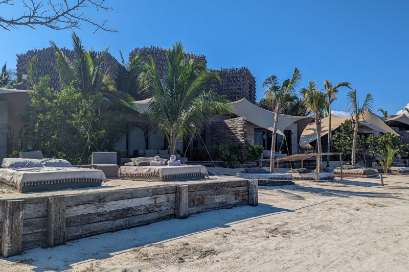 beach club with two double beach beds on a raised wooden platform in front of some palm trees at Nomade Hotel in Holbox