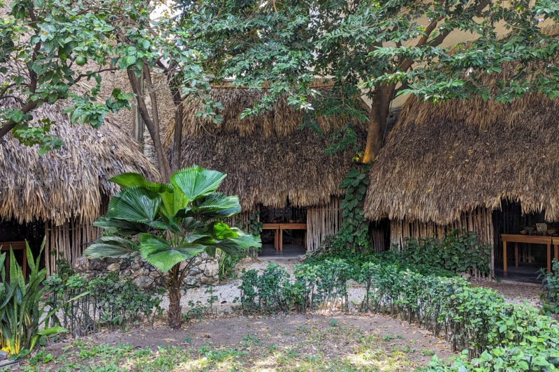 three small wooden huts with grass roofs with green leafy trees overhead