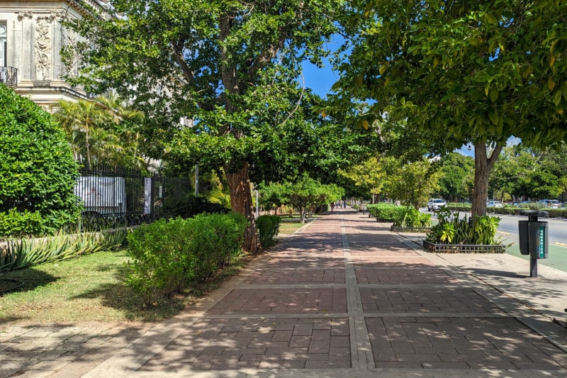 wide walking path with pink flagstones framed by rows of trees with the carved facade of a cream coloured mansion just visible to the left