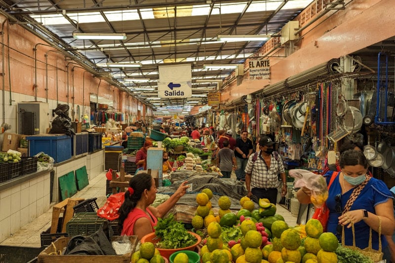 crowded indoor market with peach walls and a dirty glass and metal cieling with a long row of fruit stalls all piled with tropical fruit and people browsing in the aisle