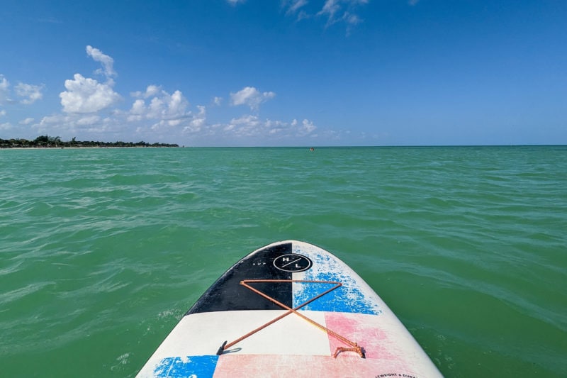 front end of a blue white and pink paddleboard on the green sea on a sunny day with blue sky above