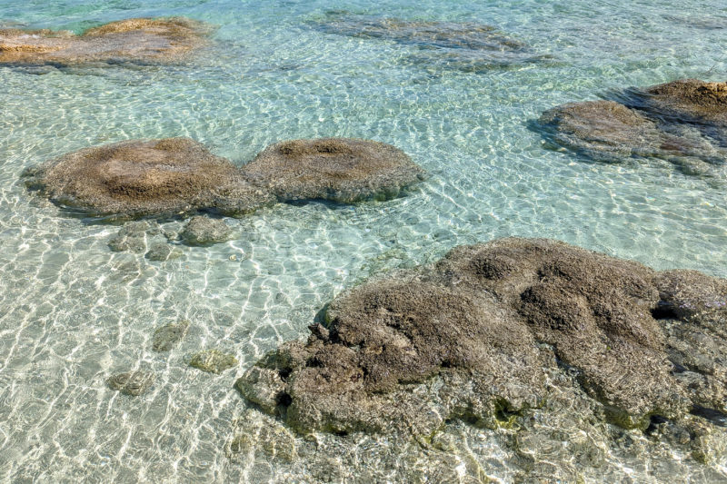 shallow clear water with white sand beneath and several large grey rock formations of stromatolites under the water in Bacalar Lagoon Mexico