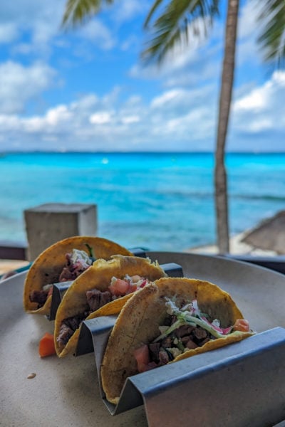 three hard shell tacos with the fillings not quite visible stacked in a metal taco stand on a table with vicid cyan sea and a palm tree behind