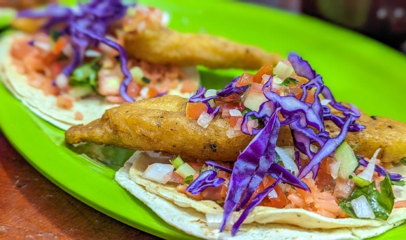 close up of three tacos on a bright green plastic plate topped with fried battered fish, chopped tomatoes and purple cabbage