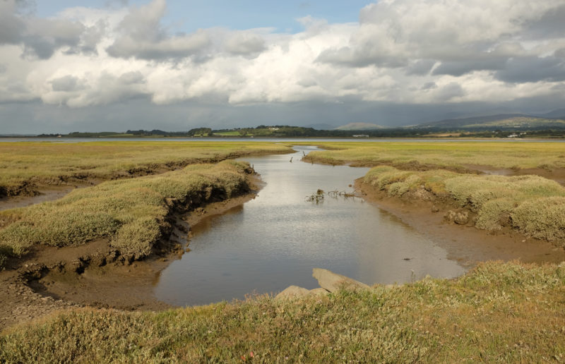 A stream extends across the marshland of Foryd Bay with dense fluffy clouds overhead reflected in the stream and thick green grass all around