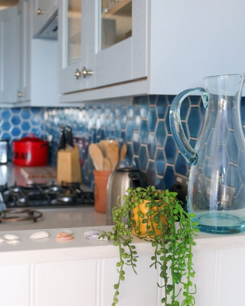 close up of a yellow pot with long trails of green pods hanging out the side and down the edge of a white counter with a kitchen out of focus behind. the kitchen has bright blue tiles and pale blue cupboards and there is a knife block and utility pot out of focus on the side and a large glass jug next to the plant pot. 